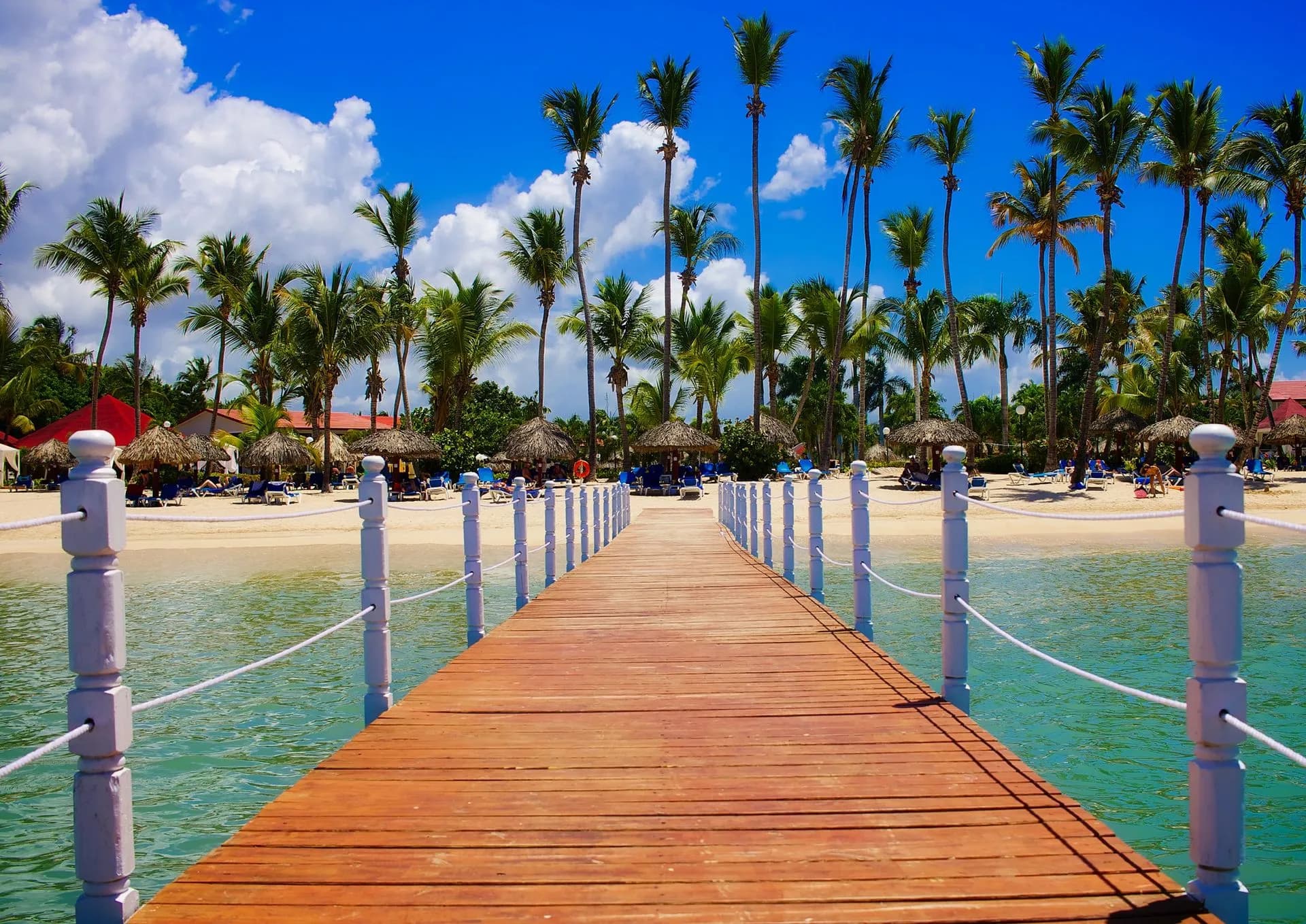 Calm turquoise water and palm trees along a patrolled resort beach in Bávaro, Punta Cana