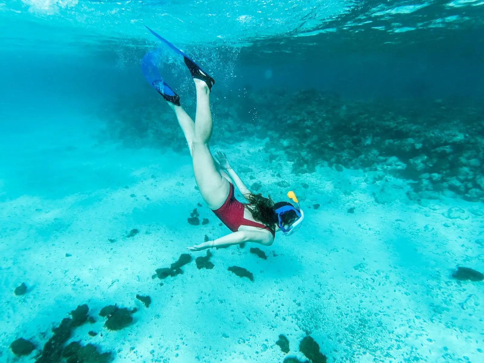 Snorkeler swimming over a shallow coral reef with tropical fish off Cabeza de Toro in Punta Cana