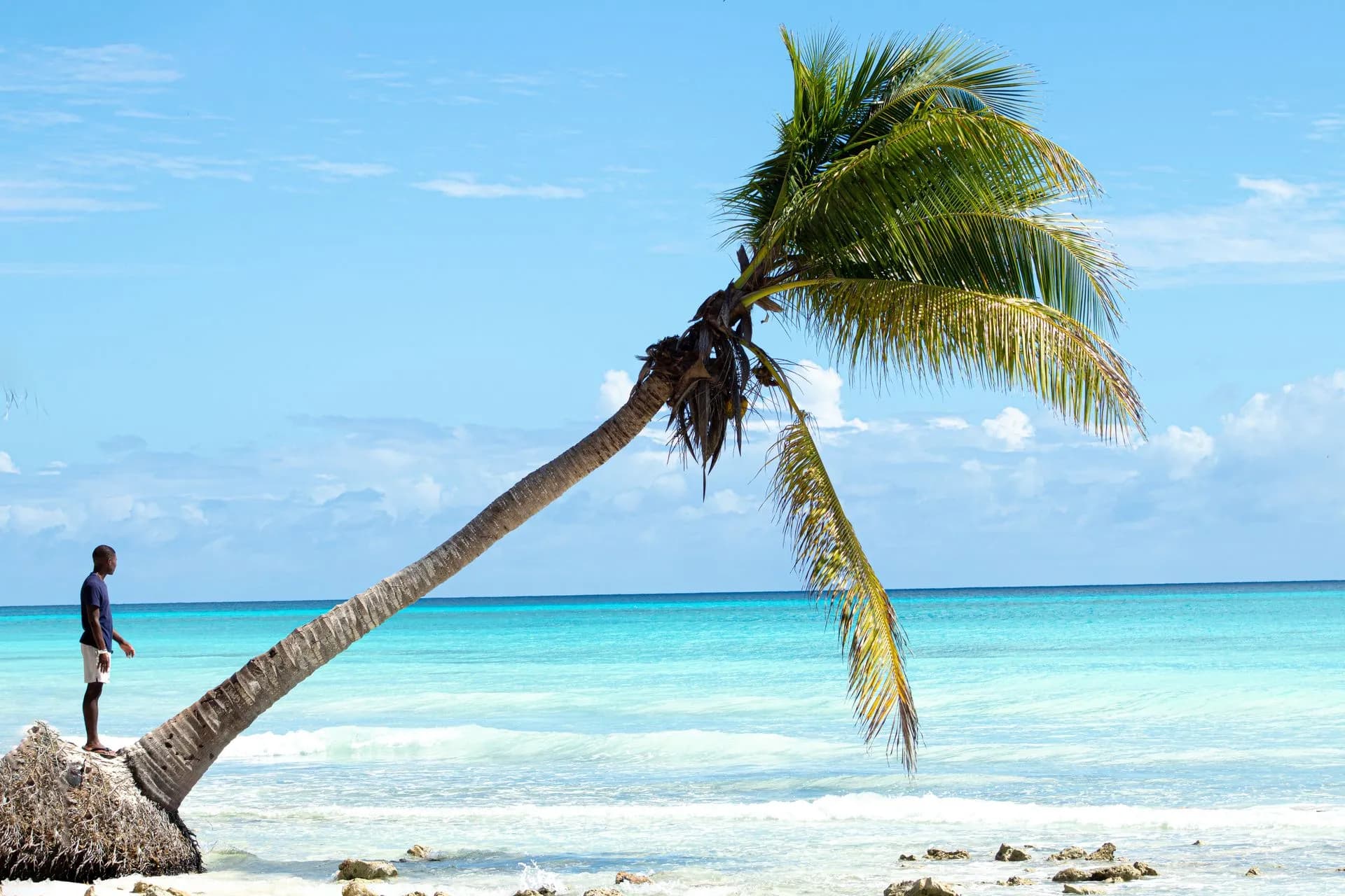 Palm-fringed white sand beach and turquoise shallows on Saona Island in the Dominican Republic