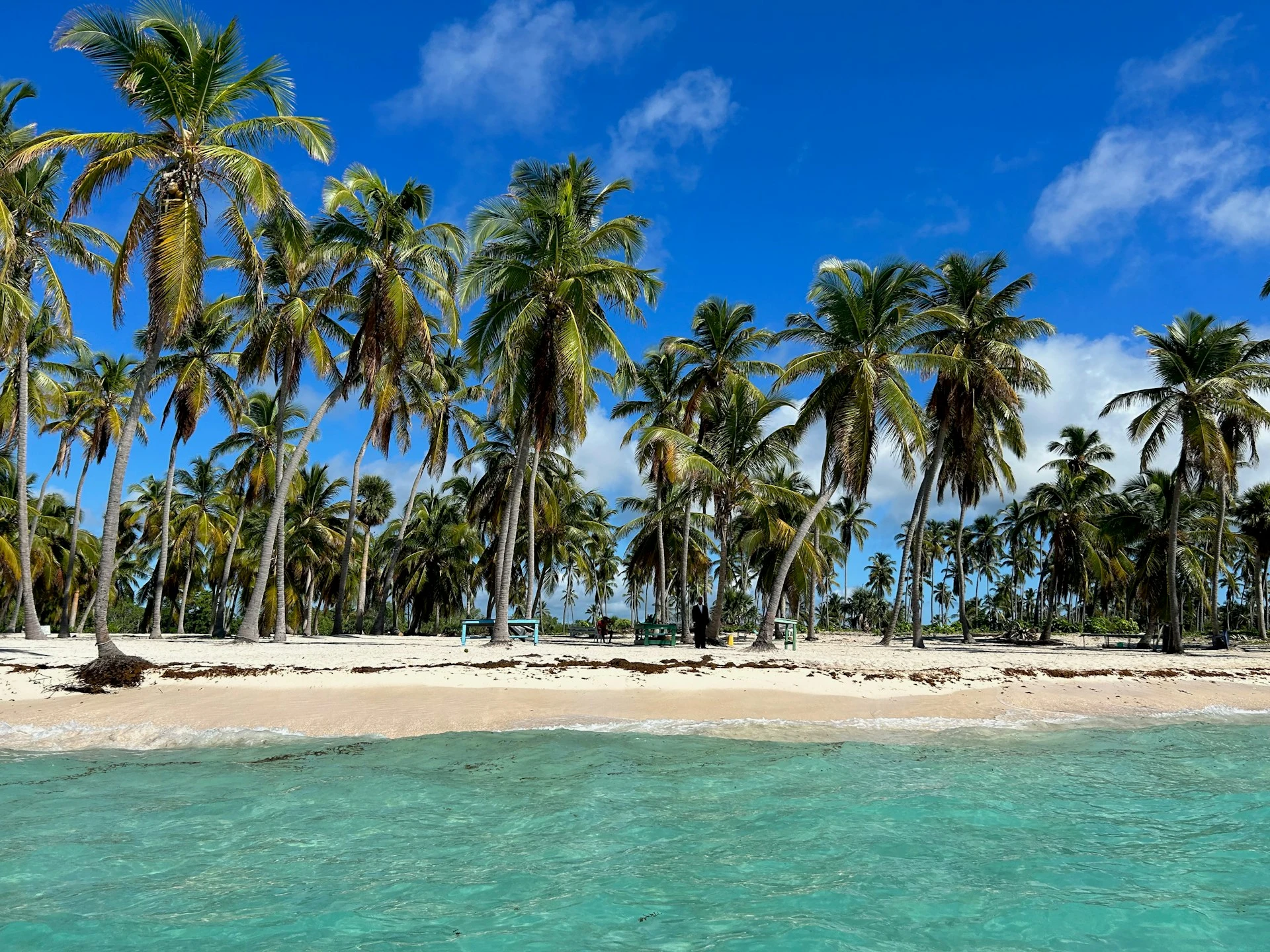 Saona Island beach seen from the boat, with white sand, palm trees and turquoise shallows